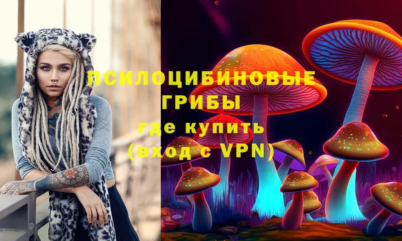 Галлюциногенные грибы Psilocybe  где купить наркоту  Пыталово 